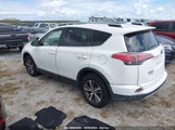 TOYOTA RAV4 XLE JTMWFREV4HJ****** снимка