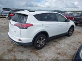 TOYOTA RAV4 XLE JTMWFREV4HJ****** снимка