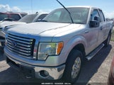 FORD F-150 XLT 1FTFX1ET4BF****** fotografie