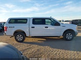 FORD F-150 XLT 1FTEW1E54LK****** снимка