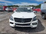 MERCEDES-BENZ ML 350 4MATIC снимка