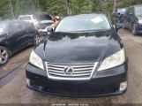 LEXUS ES 350 photo