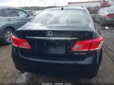 LEXUS ES 350 photo