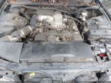 LEXUS LS 400 JT8UF11E5P0****** photo