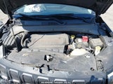 JEEP COMPASS TRAILHAWK 4X4 3C4NJDDBXNT****** fotografie
