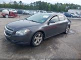 CHEVROLET MALIBU 1LT photo