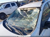 TOYOTA RAV4 LE JTMZFREVXJJ****** снимка