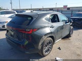 LEXUS NX 250 PREMIUM 2T2GDCAZ5SC****** fotografie