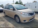 TOYOTA SIENNA LE photo