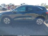 FORD ESCAPE SEL photo