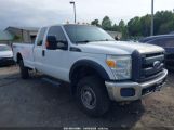 FORD F-250 XL photo