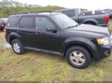 FORD ESCAPE XLT photo