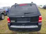 FORD ESCAPE XLT photo