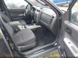 FORD ESCAPE XLT photo