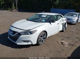 NISSAN MAXIMA 3.5 SV 1N4AA6AP7GC439002 снимка