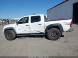 TOYOTA TACOMA PRERUNNER V6 5TEJU62N28Z****** photo