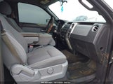 FORD F-150 XLT 1FTFW1EF5EK****** снимка