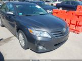 TOYOTA CAMRY XLE photo