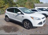 FORD ESCAPE SE photo