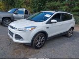 FORD ESCAPE SE photo