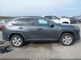 TOYOTA RAV4 XLE photo