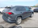 TOYOTA RAV4 XLE photo