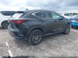 LEXUS NX 250 photo