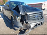 FORD F-150 XL 1FTEX1EM5BF****** снимка