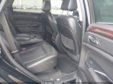 CADILLAC SRX PERFORMANCE COLLECTION снимка