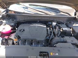HYUNDAI TUCSON SEL 5NMJFCAE3PH252432 снимка