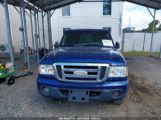 FORD RANGER FX4 OFF-ROAD/SPORT/XLT photo