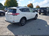 TOYOTA RAV4 HYBRID XLE JTMRJREV3JD****** photo