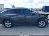 HYUNDAI TUCSON SEL 5NMJB3DE7RH341947 снимка