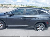 HYUNDAI TUCSON SEL 5NMJB3DE7RH341947 снимка