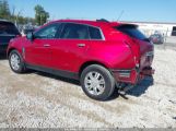 CADILLAC SRX LUXURY COLLECTION 3GYFNEE33FS****** photo