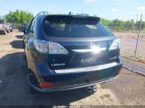 LEXUS RX 350 photo