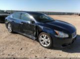 NISSAN MAXIMA 3.5 SV photo