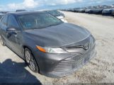 TOYOTA CAMRY XLE photo