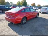 HYUNDAI SONATA SE photo