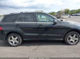 MERCEDES-BENZ ML 350 4MATIC photo