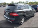 MERCEDES-BENZ ML 350 4MATIC photo