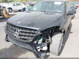 MERCEDES-BENZ ML 350 4MATIC photo