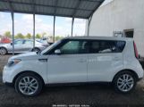 KIA SOUL + photo