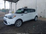 KIA SOUL + photo