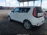 KIA SOUL + photo