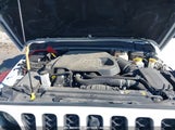 JEEP WRANGLER UNLIMITED RUBICON 4X4 1C4JJXFM1MW****** fotografie