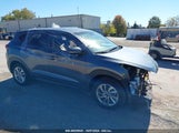 HYUNDAI TUCSON SE KM8J23A47JU****** снимка