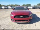 FORD MUSTANG V6 photo