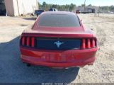 FORD MUSTANG V6 photo