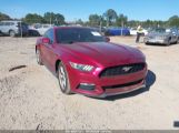 FORD MUSTANG V6 photo